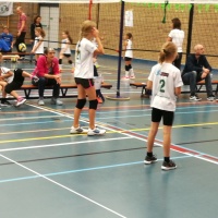 CMV toernooi 2016