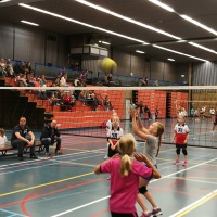 CMV toernooi 2016