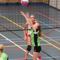 Meisjes B kampioen 2017-2