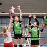 Meisjes B kampioen 2017-2
