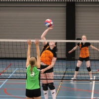 Verenigingsdag 2017