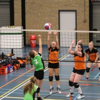 Verenigingsdag 2017