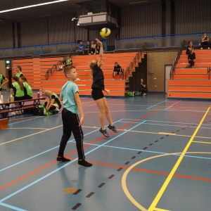 Verenigingsdag 2021