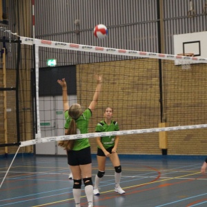 Verenigingsdag 2024