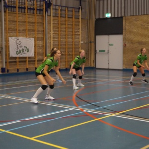 Verenigingsdag 2024