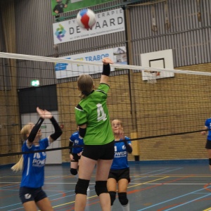 verenigingsdag 2025