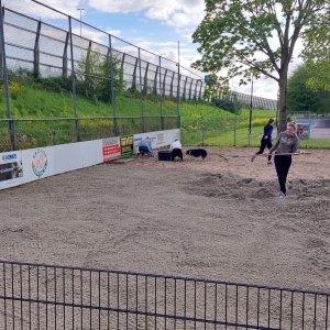 Zomerklaar maken beachvelden