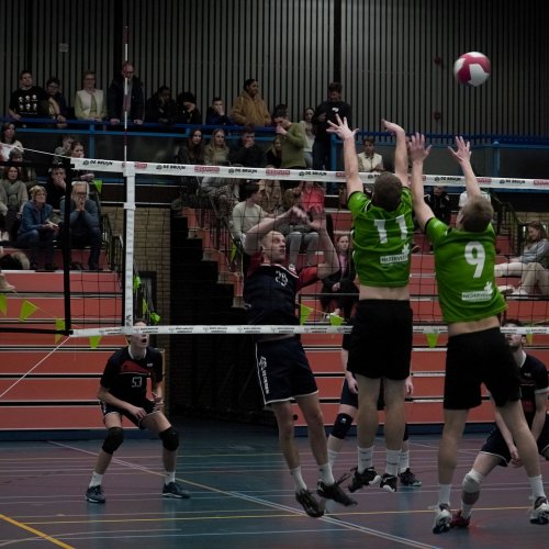 Heren 1 - Next Volley Dordrecht HS3