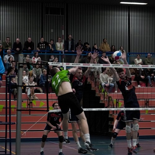 Heren 1 - Next Volley Dordrecht HS3