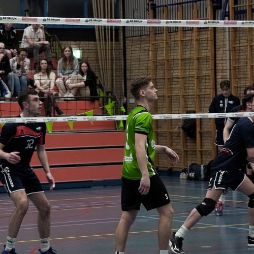 Heren 1 - Next Volley Dordrecht HS3