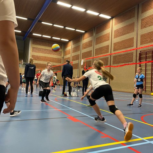 Regiokampioenschap cmv4