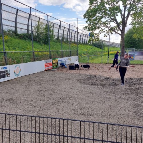 Zomerklaar maken beachvelden
