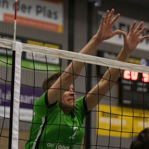 H1 - Next Volley H3