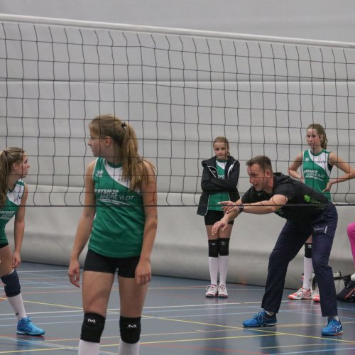 Meisjes B - WHV
