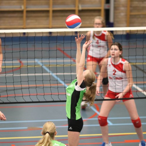 Meisjes B kampioen 2017-2