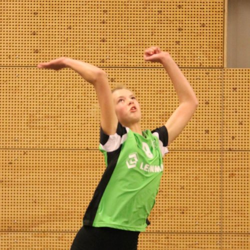 Meisjes B kampioen 2017