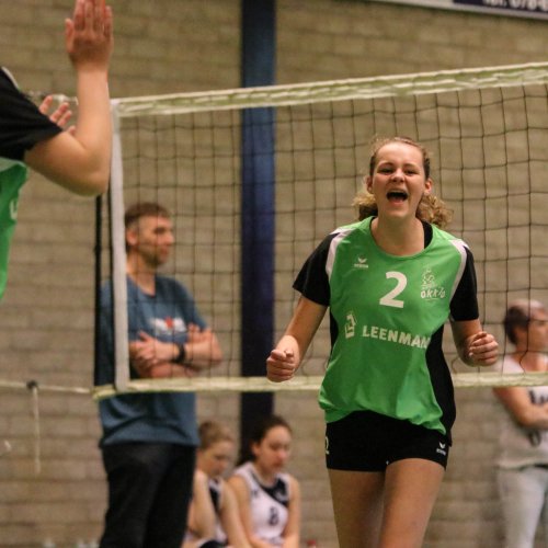 Meisjes B kampioen 2017