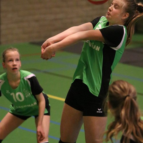 Meisjes B kampioen 2017