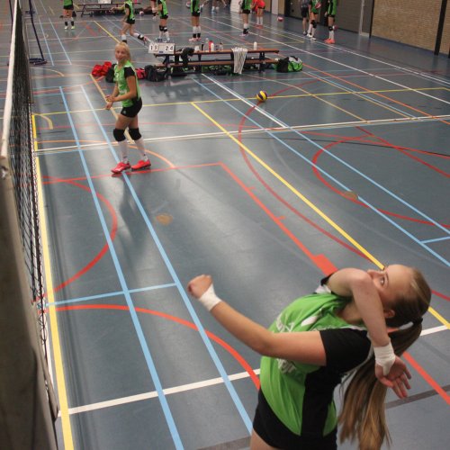 Verenigingsdag 2017