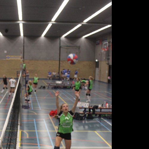 Verenigingsdag 2017