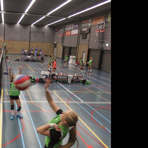 Verenigingsdag 2017