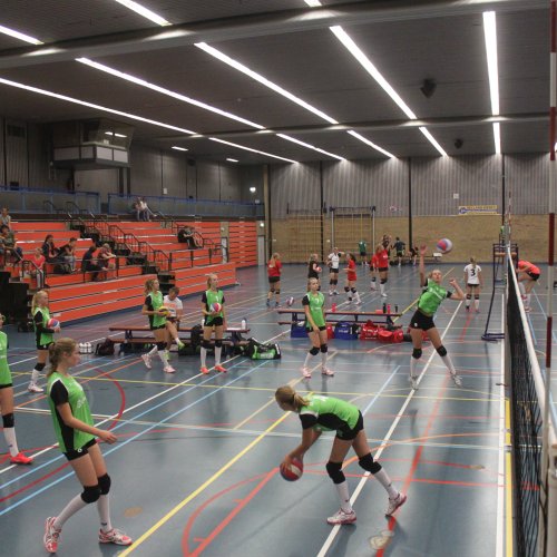 Verenigingsdag 2017