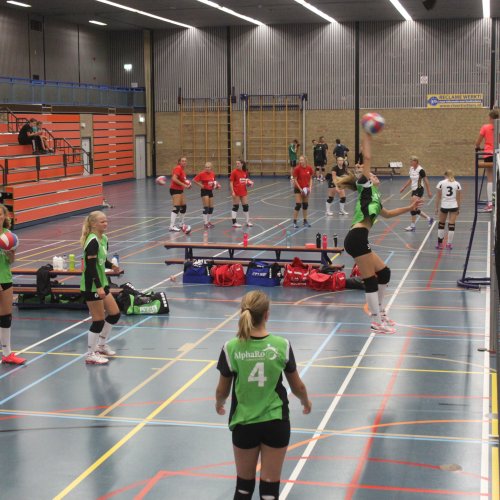 Verenigingsdag 2017