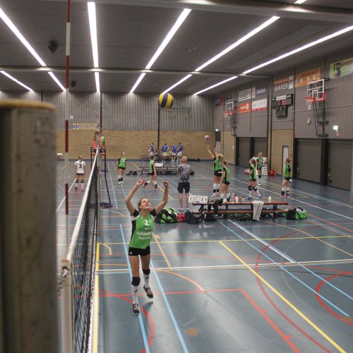 Verenigingsdag 2017