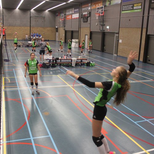 Verenigingsdag 2017
