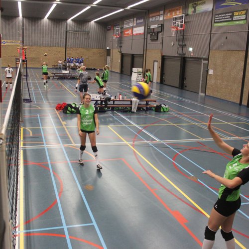 Verenigingsdag 2017