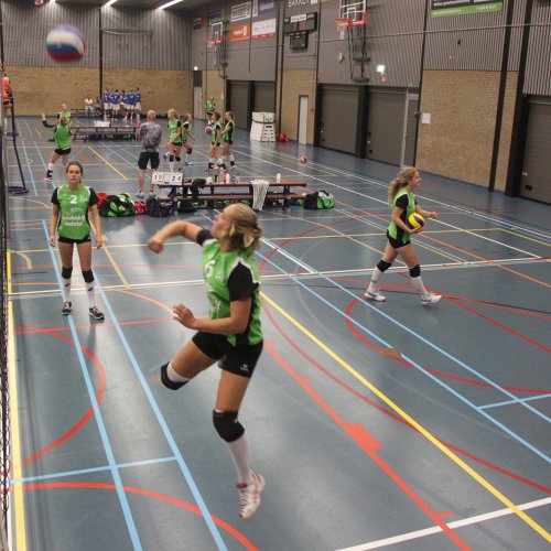 Verenigingsdag 2017