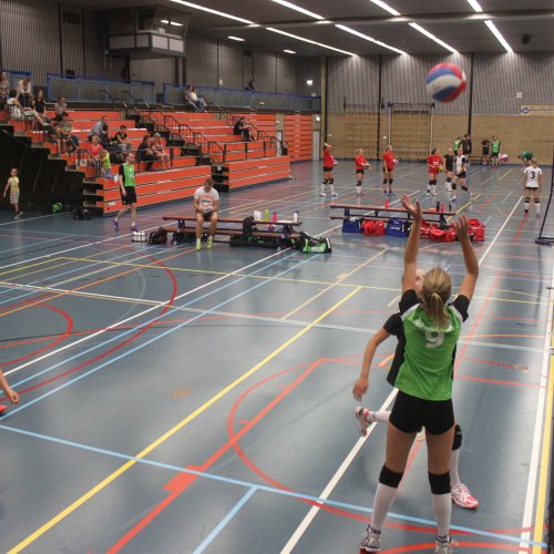 Verenigingsdag 2017