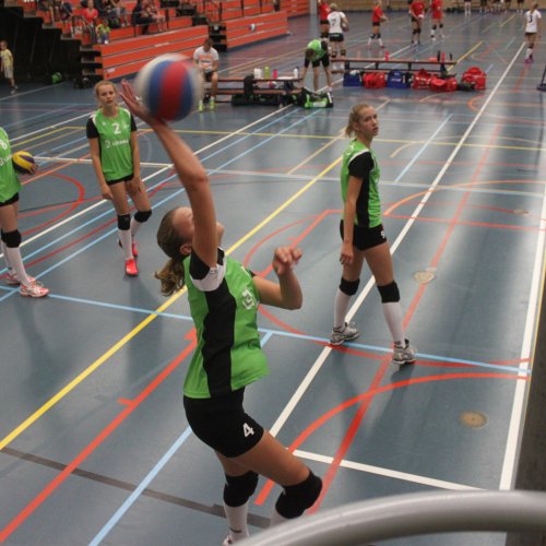 Verenigingsdag 2017