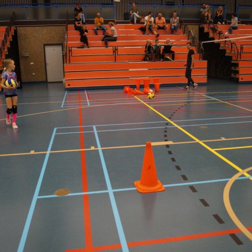 Verenigingsdag 2021