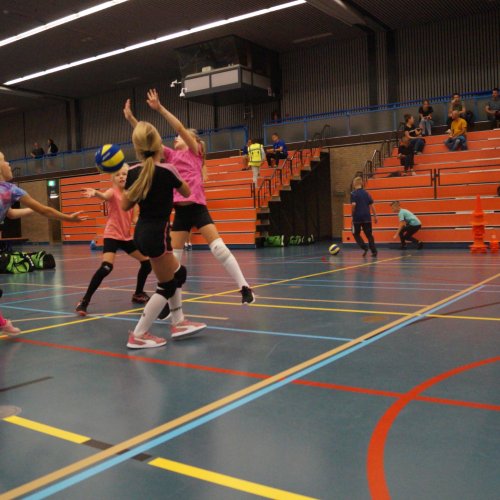 Verenigingsdag 2021