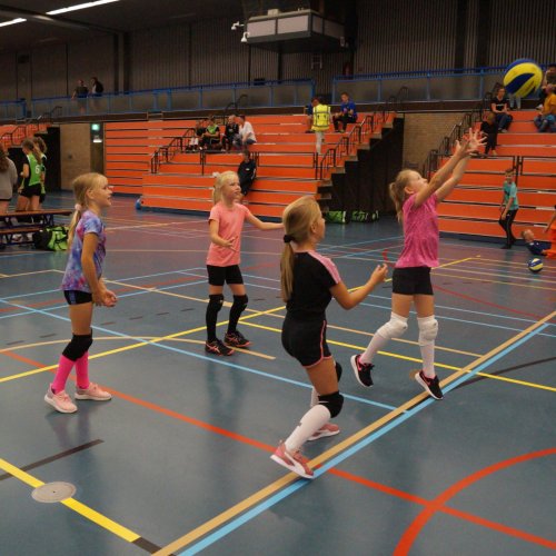 Verenigingsdag 2021