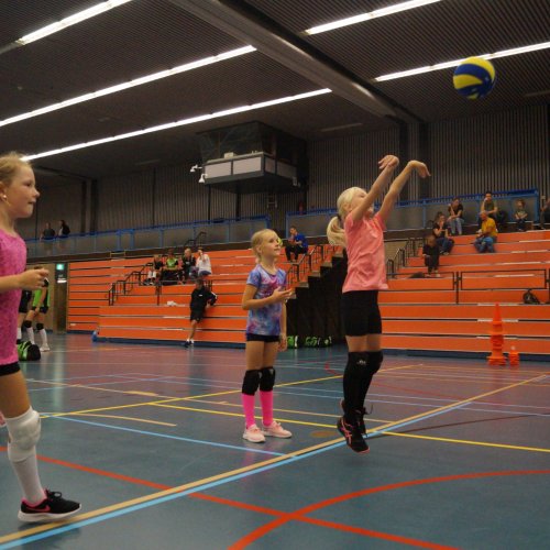 Verenigingsdag 2021