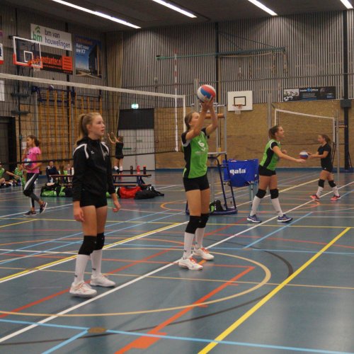 Verenigingsdag 2021