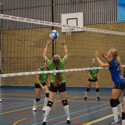 Verenigingsdag 2024