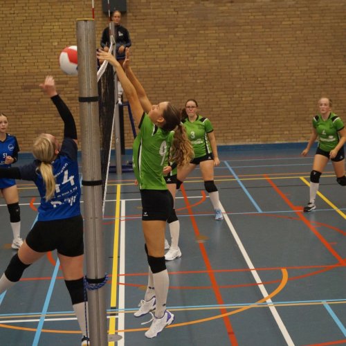 Verenigingsdag 2024