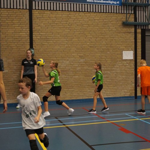 Verenigingsdag 2024