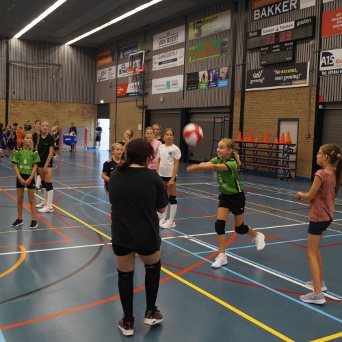 Verenigingsdag 2024
