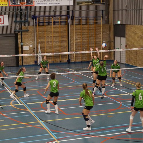 Verenigingsdag 2024