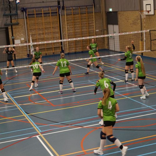 Verenigingsdag 2024