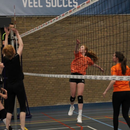 Vrienden & familietoernooi